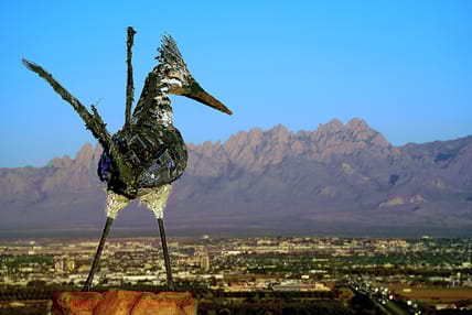New Mexico Media Arts Collective